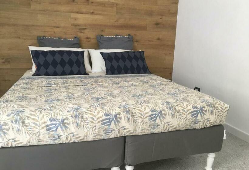 スタンダードルーム, Corte Soriano