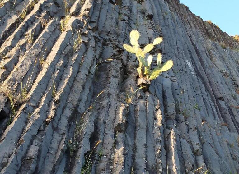 带共用浴室的标准房间, L'agrifoglio Di Emy