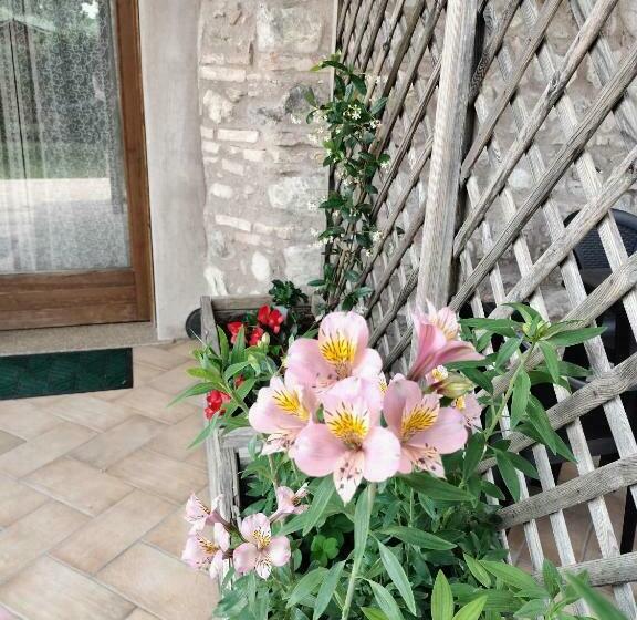 اتاق استاندارد با تراس, Corte Davini Agriturismo