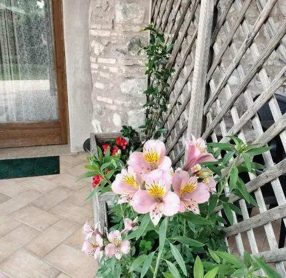 テラス付きスタンダードルーム, Corte Davini Agriturismo