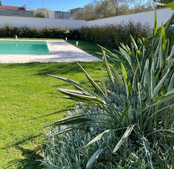 جناح ديلوكس, Luxury B&b Coccolhouse