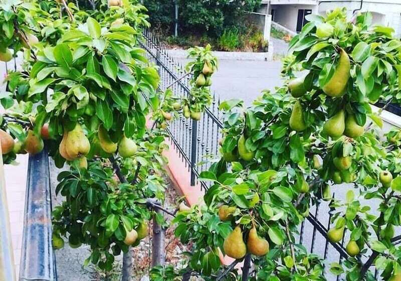 四人标准间, La Collina