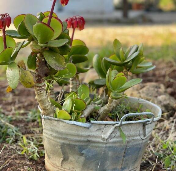 スタンダードトリプルルーム, Relais Grottone