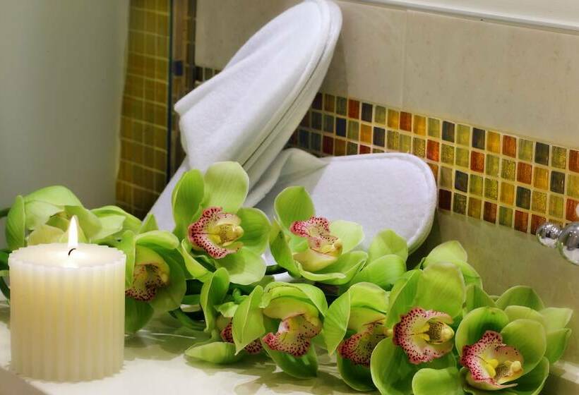 سوییت جونیور, Ai Mori D'Oriente