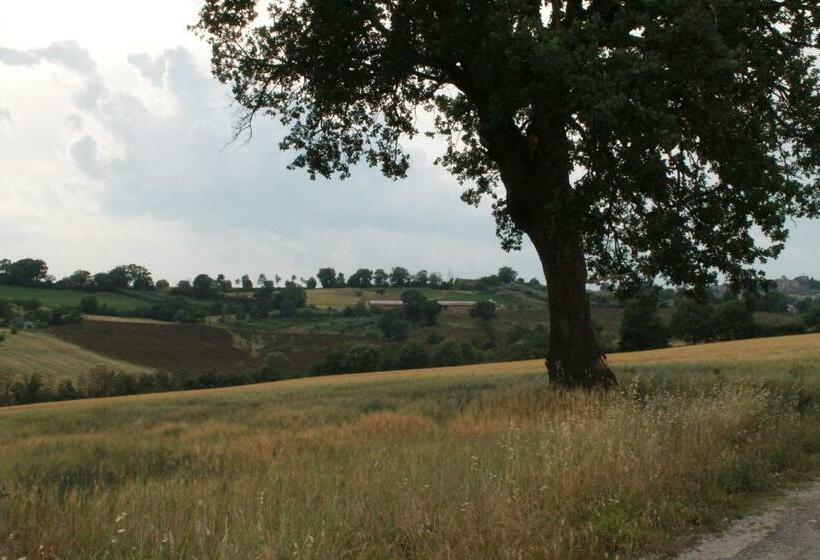 スタンダードルーム, Agriturismo Piano Grande