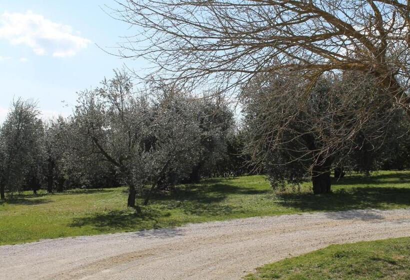 Номер Стандарт, Agriturismo Piano Grande