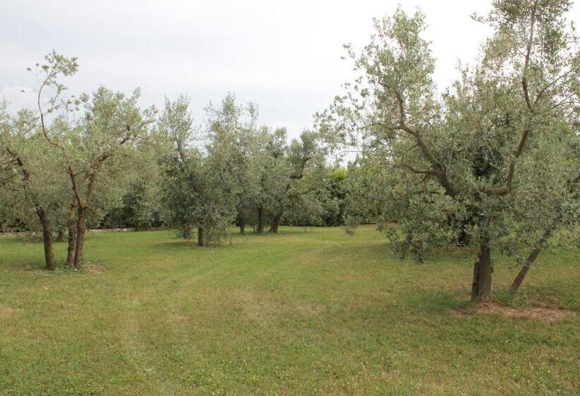 スタンダードルーム, Agriturismo Piano Grande