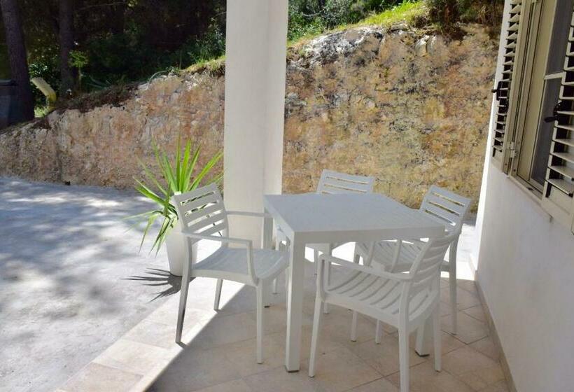 家庭套房, Petra Maris B&b