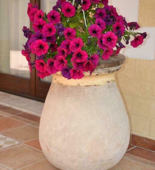 חדר סטנדרט, I Giganti