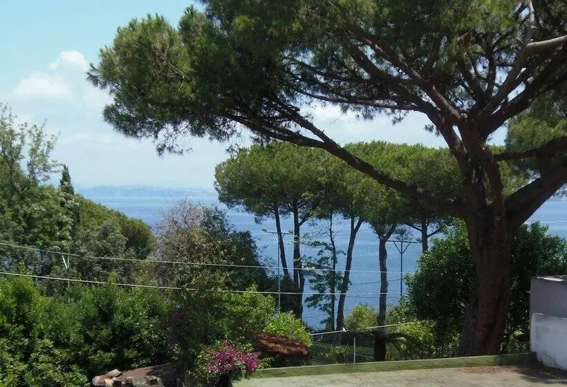 اتاق خانوادگی با چشمانداز جانبی دریا, B&b Villa Cinque Pini