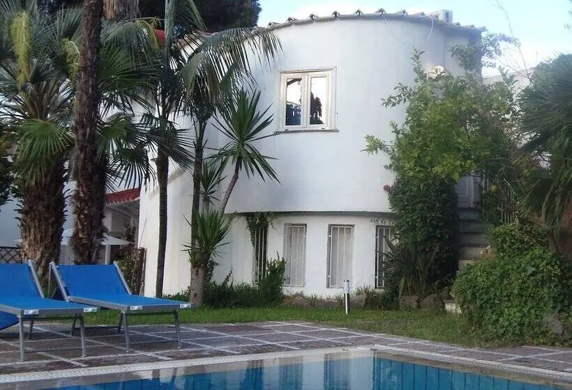 اتاق اکونومی, B&b Villa Cinque Pini