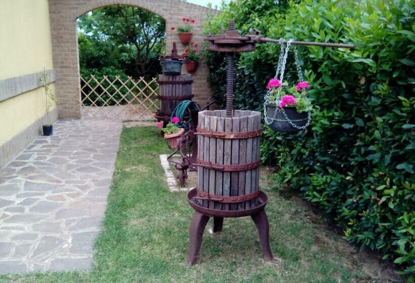 스탠다드 룸, Recanati Family