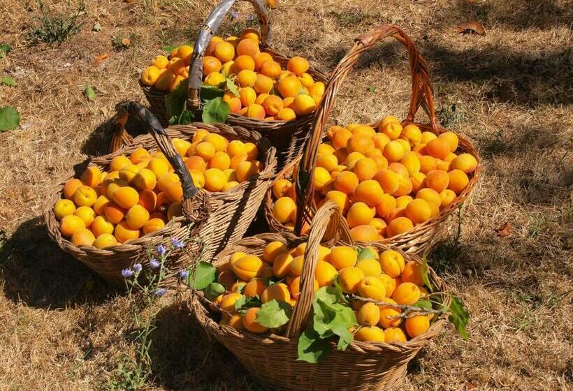 דירת שני חדרים, Agriturismo La Roverella