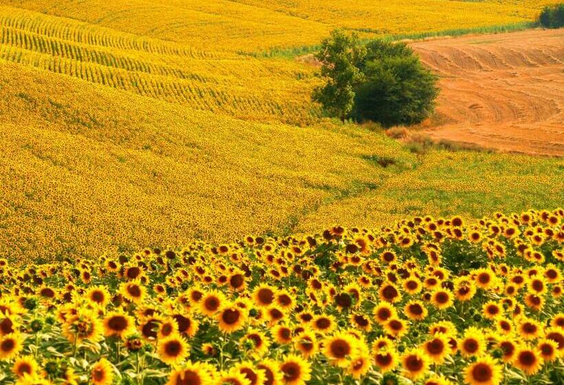 דירת שני חדרים, Agriturismo La Roverella