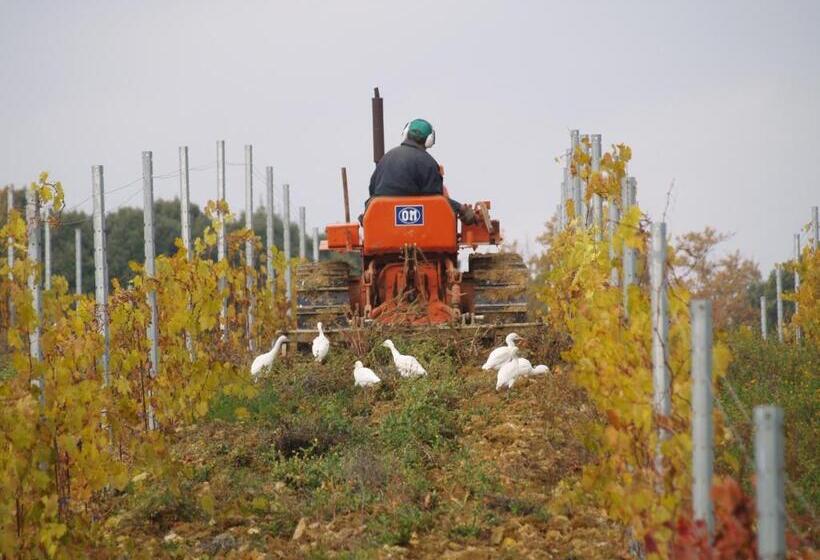 דירת שני חדרים, Agriturismo La Roverella