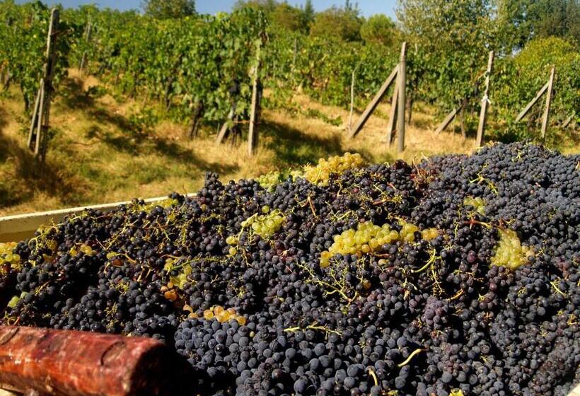 דירת שני חדרים, Agriturismo La Roverella