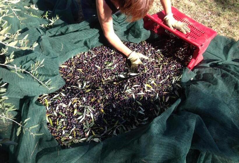 דירת חדר סופריור, Agriturismo La Roverella