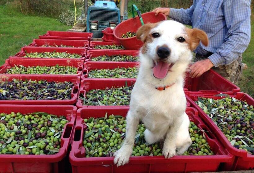 דירת חדר סופריור, Agriturismo La Roverella