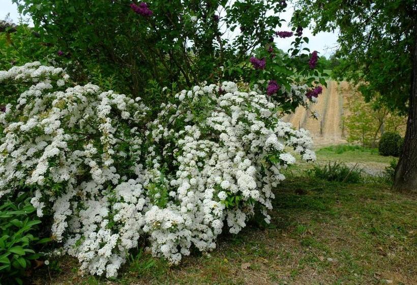 Апартаменты 2 Спальни, Agriturismo La Roverella