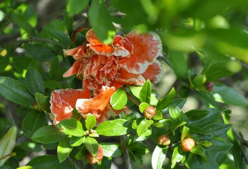 غرفة قياسية مطلّة علي البحر, B&b Casa Soresina