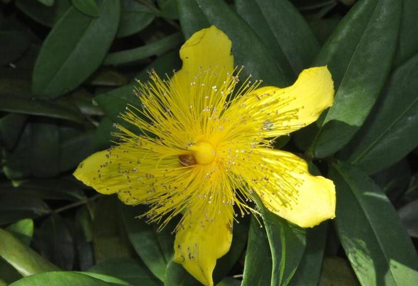 غرفة ديلوكس, B&b Casa Soresina