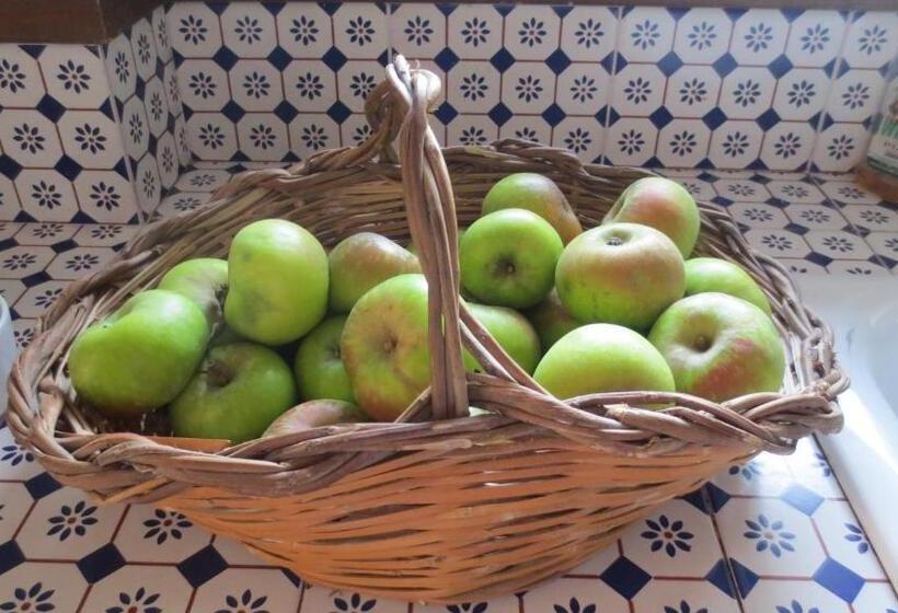 غرفة قياسية, B&b Casa Soresina