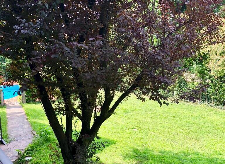 패밀리 룸, B&b Family First