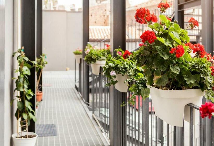 غرفة قياسية, Scuto Home