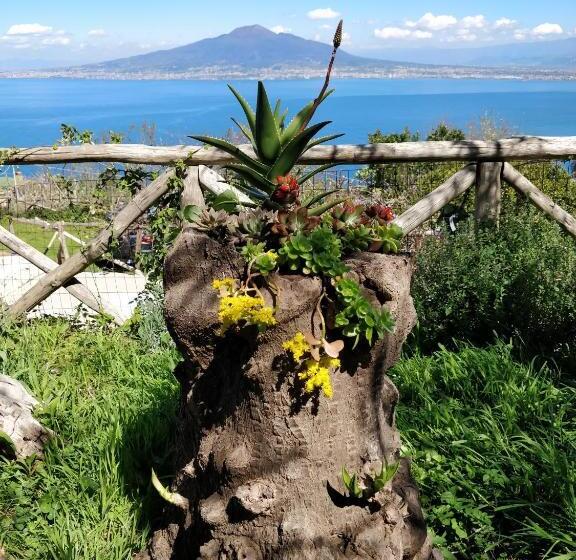 １ベッドルームハウス, Giardino 21 Marzo