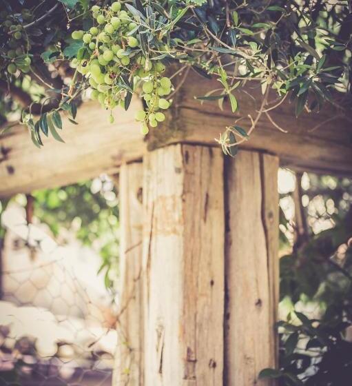 חדר סטודיו סטנדרד, Il Vicoletto Di Bibi   B&b