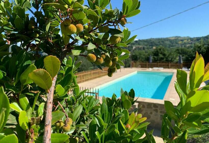 اتاق راحتی سه تخته, Agriturismo La Palazzetta Di Assisi