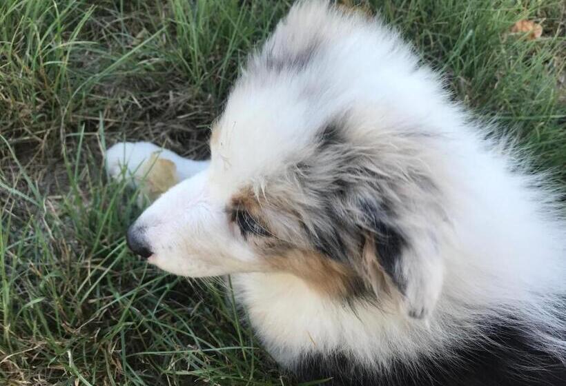 اتاق خانوادگی, Agriturismo La Palazzetta Di Assisi