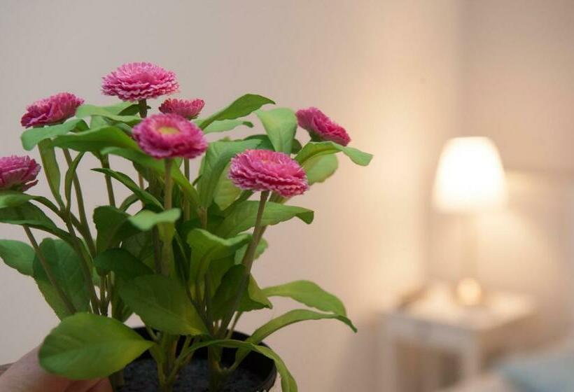 Номер Deluxe Одноместный, Borgo Antico Home