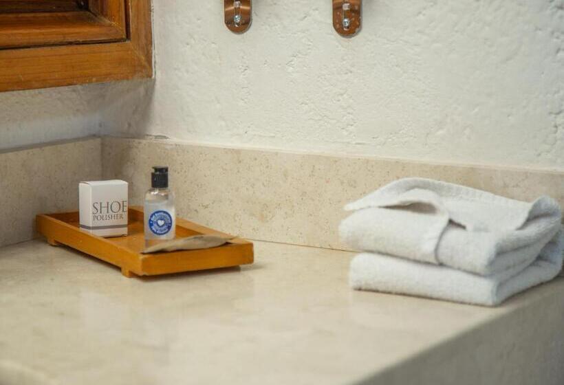 اتاق استاندارد, Mision Guanajuato