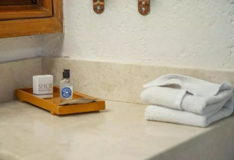 اتاق استاندارد, Mision Guanajuato