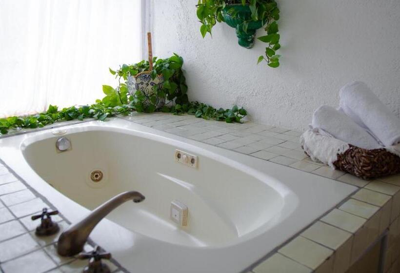 سوئیت پرزیدنت, Mision Guanajuato