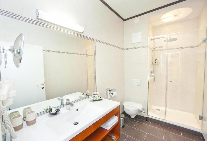 غرفة قياسية, Sacher Baden