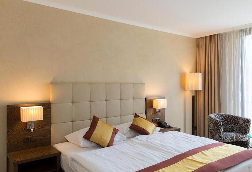 غرفة قياسية, Sacher Baden