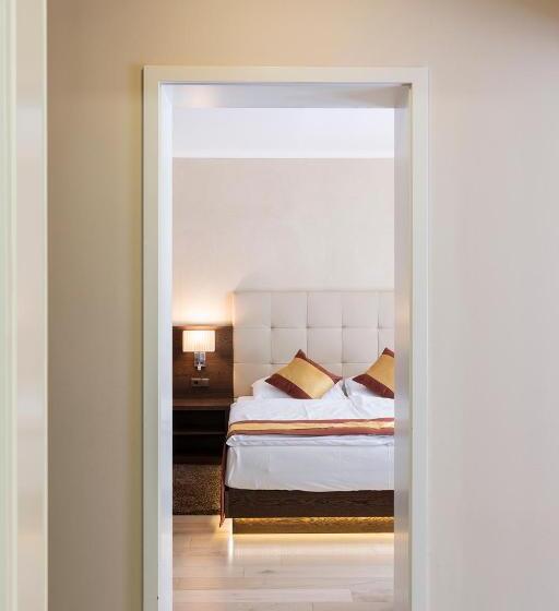 جناح جونيور, Sacher Baden