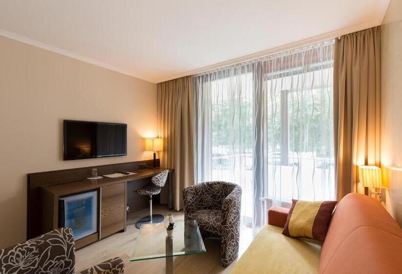 جناح جونيور, Sacher Baden