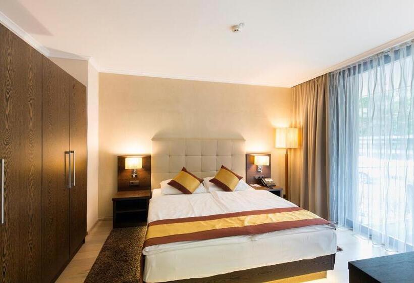 جناح جونيور, Sacher Baden