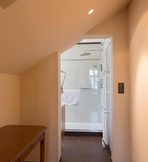 غرفة سوبيريور, Sacher Baden