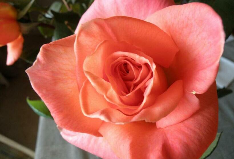 套房, Villas D. Dinis Charming Residence