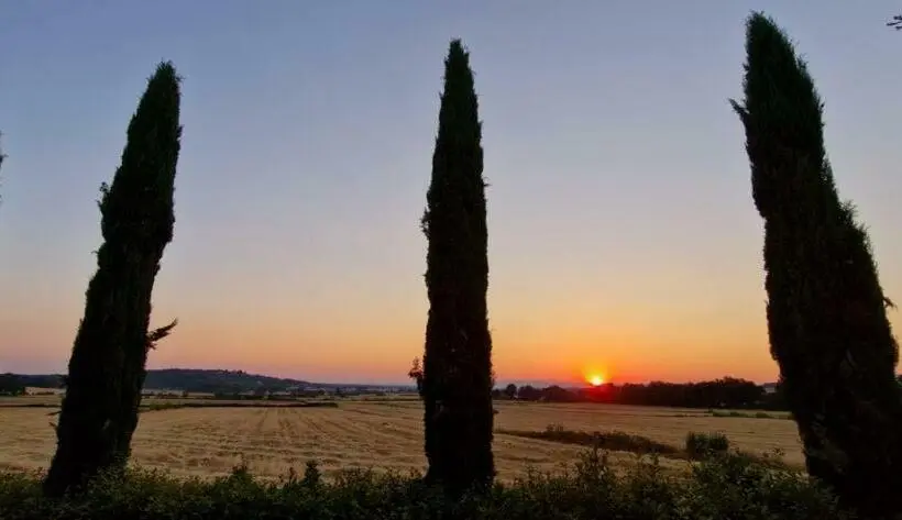 １階の１ベッドルームアパートメント, Agriturismo Il Canneto