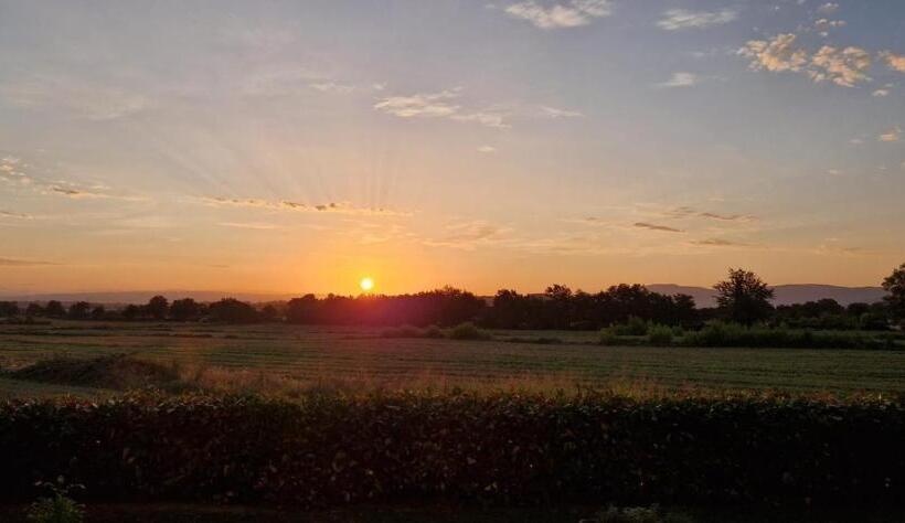 １ベッドルームのスーペリアアパートメント, Agriturismo Il Canneto