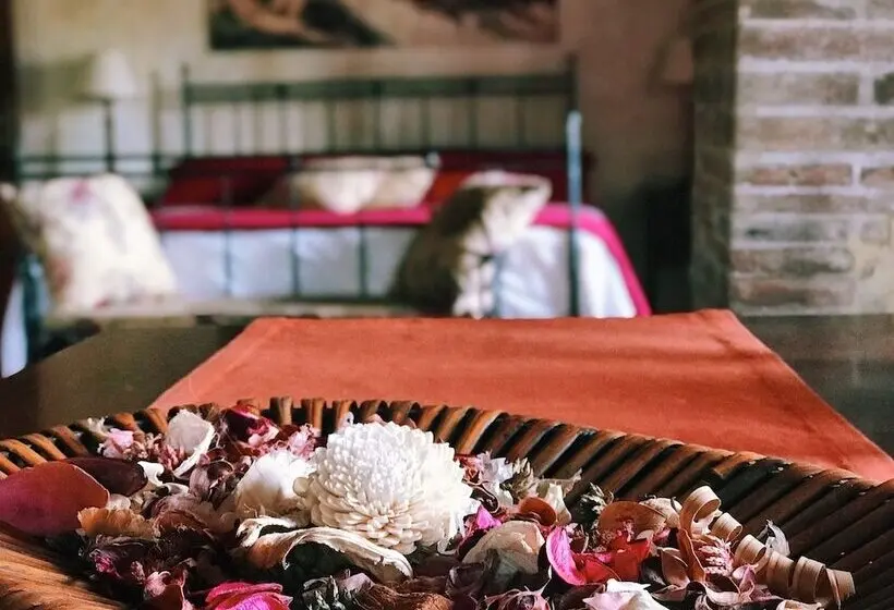 Juniorsviitti, Tenuta Fattoria Vecchia