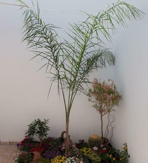 اتاق لوکس, Baia Di Torre Squillace