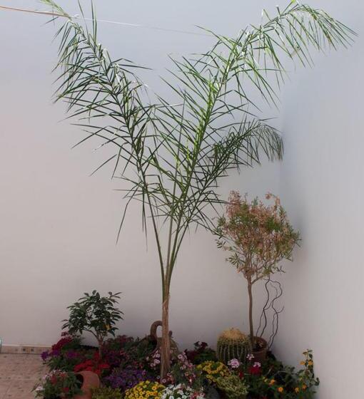 اتاق استاندارد با تخت بزرگ, Baia Di Torre Squillace