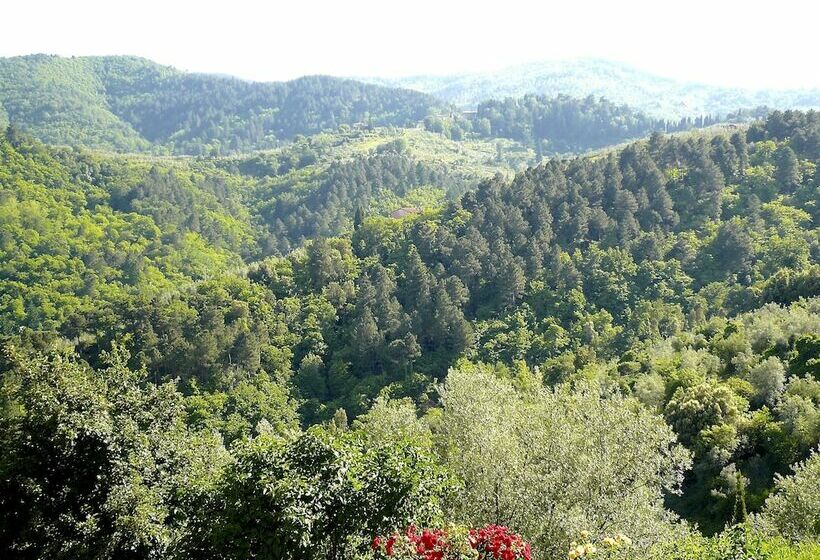 침실 1개 프리미엄 아파트, Ventena Vecchia Antico Frantoio