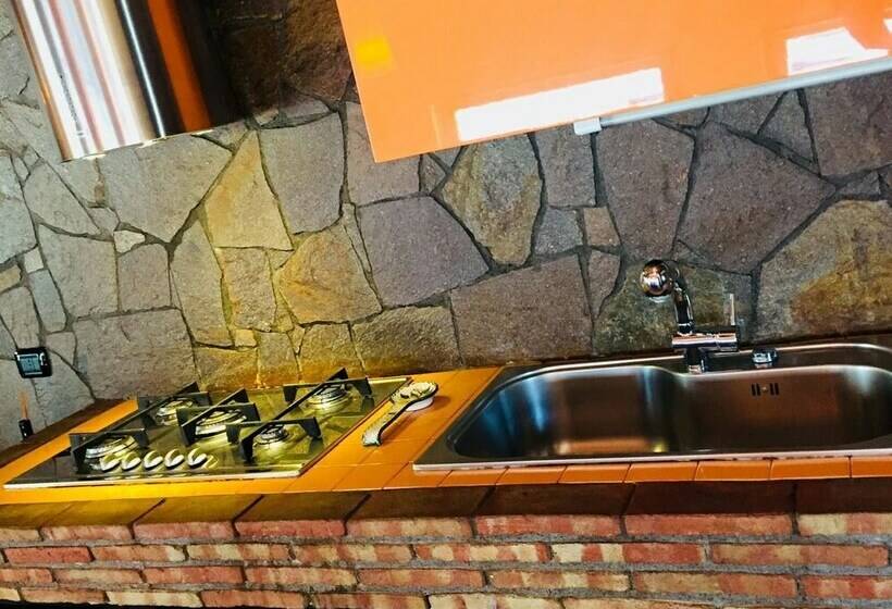 １ベッドルームベーシックアパートメント, Guest House Ara Town